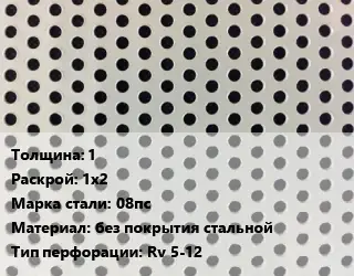Лист перфорированный 1 1х2 Марка: 08пс без покрытия стальной Rv 5-12